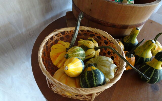 Hakuba Glad Inn Ebisuya