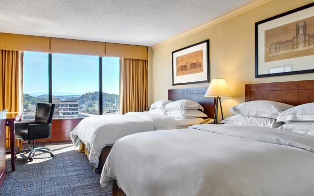 Hilton Knoxville