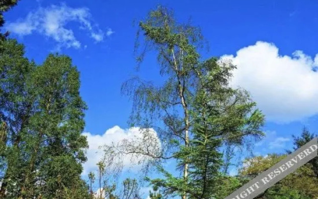 Yueyuan Fashion Hotel (Zhengzhou Longzihu University Town)