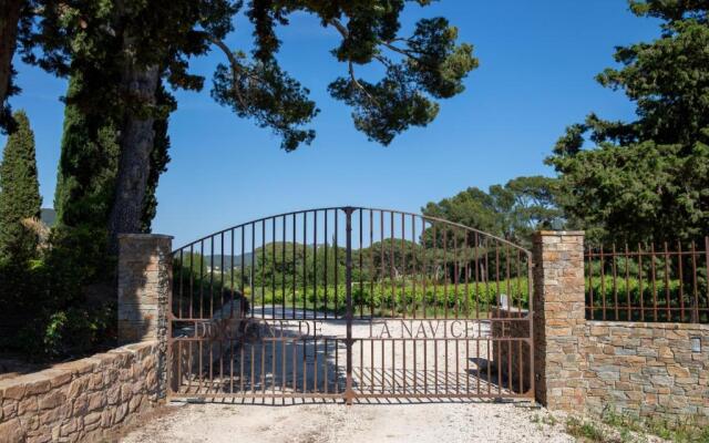 Domaine de la Navicelle - Oiseaux 1