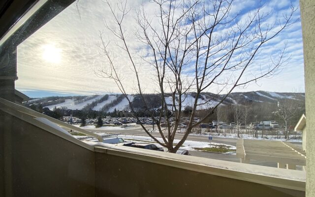 Wintergreen Condos