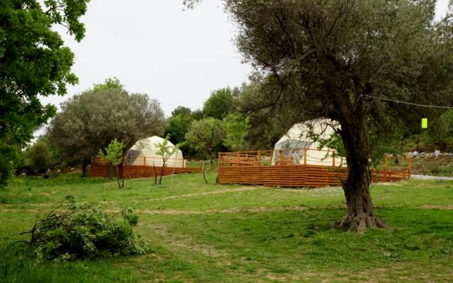 Teos Glamping Sığacık