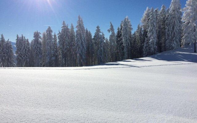 Der Alpenblick