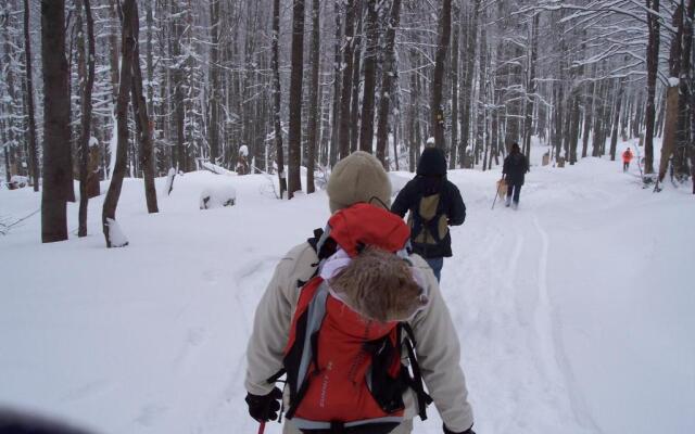 Ferienland Sonnenwald