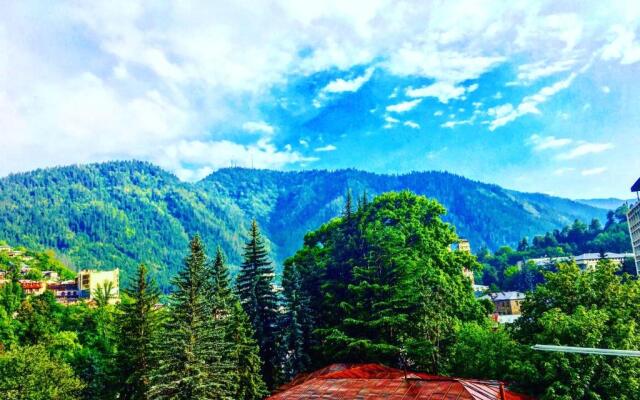 Apartment Borjomi