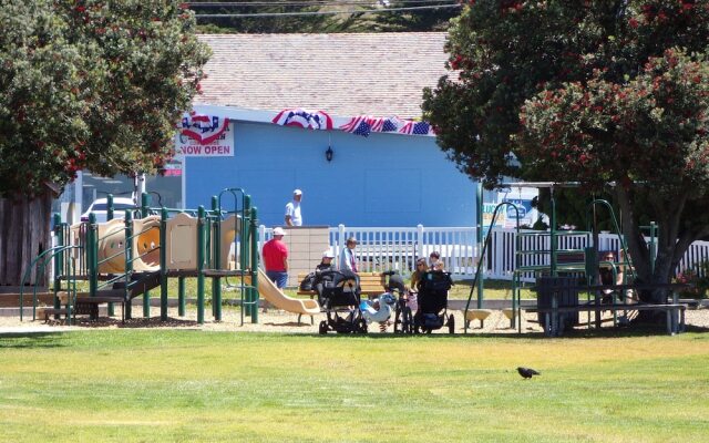 Cypress Tree Motel