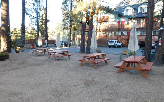 Honey Bear Lodge & Cabins