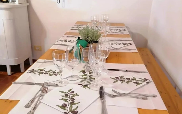 Fattoria di Cintoia
