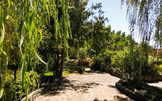 Casas Maravilha - O Ninho by Madeira Sun Travel