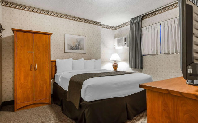 Quality Inn & Suites Silicon Valley