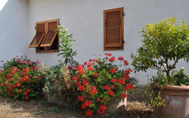 House With 3 Bedrooms in Lacona, With Furnished Terrace - 100 m From t