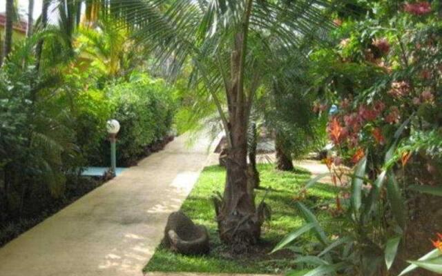 La Palmera