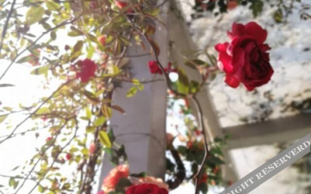 Fu Run Hotel (Xi'an Bell and Drum Towers)