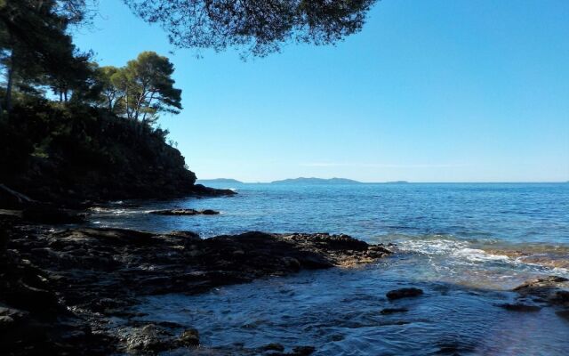 Detached house with private pool, 4 km from the medieval town of Brignoles