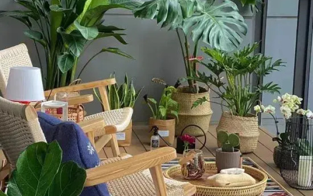Yumo Boutique Guesthouse