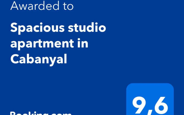 Spacious studio apartment in Cabanyal