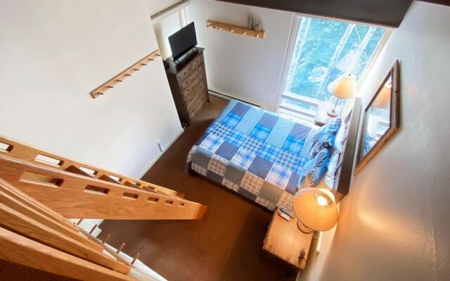 #310 Vail International