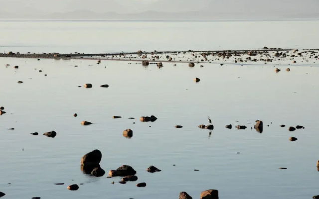 Fossil Beach Farm (Glamping)