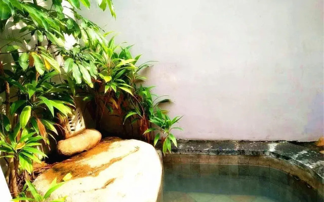 Sanya Little Fish Hot Spring Hotel