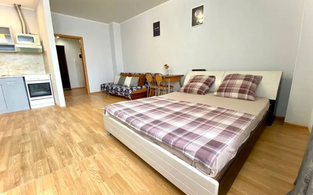 Апартаменты Вояж на улице 50 лет ВЛКСМ, д. 13, корп.1