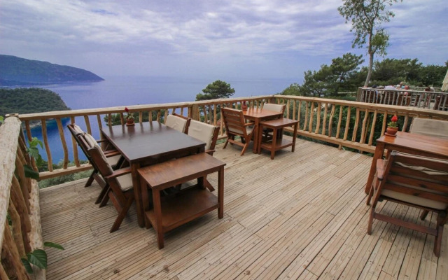 Olive Garden Kabak