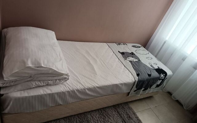 МК на Зеленина