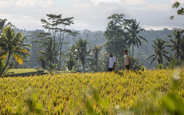 Wapa di Ume Ubud Resort & Spa