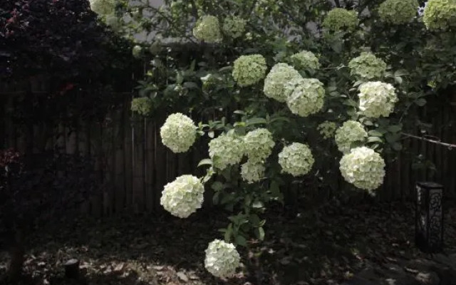 Yingwuxin Boutique Hostel Mount Mogan