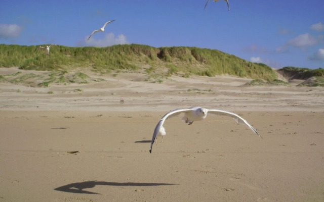 Luring Holiday Home in Callantsoog near Sea