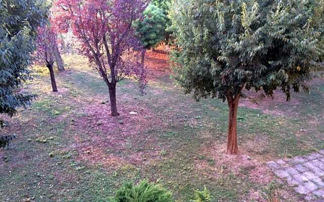 Bed & Breakfast Da Eliana