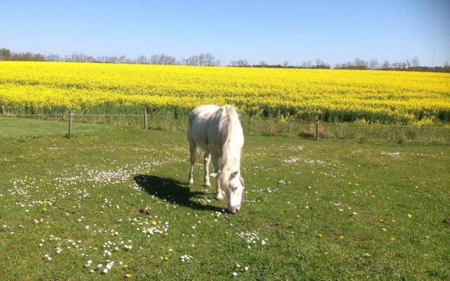 Øster Vaaen Bed & Breakfast