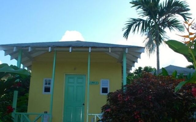 Hotel Jamaican Colors