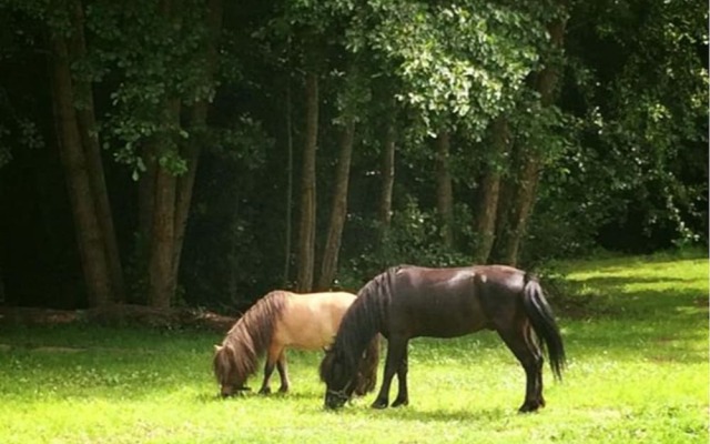 Domaine Du Moulin Neuf