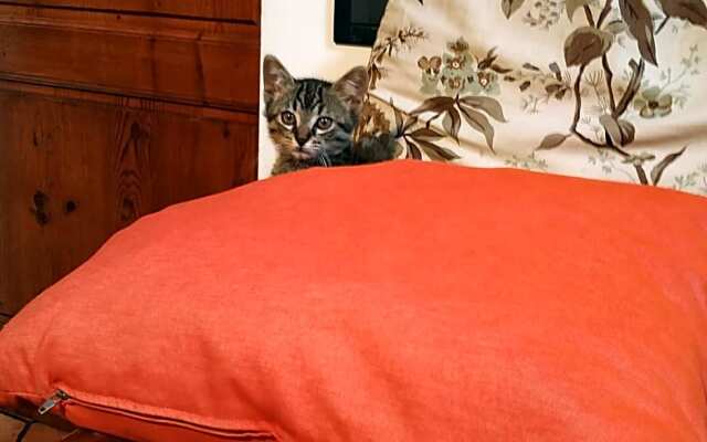 B&B "La Pieve" - Locanda per Viandanti