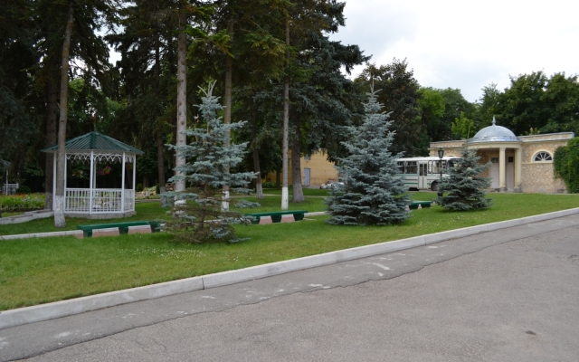 Voronezh (Essentuki)