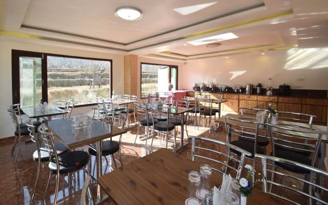 OYO 11643 Hotel Sunrise Villa