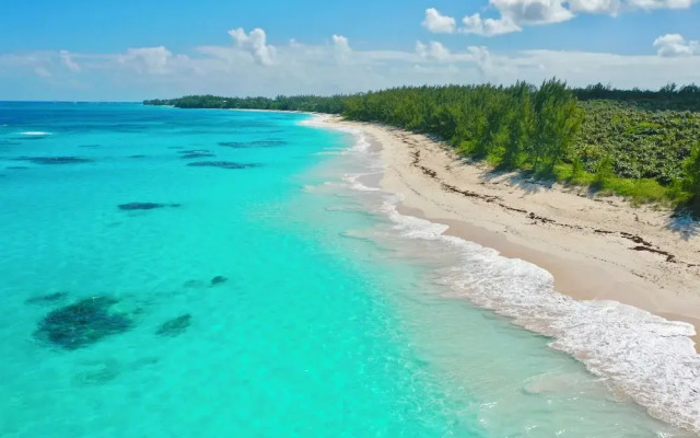 Wild Orchid Hideaway: Lux Beachfront Sanctuary