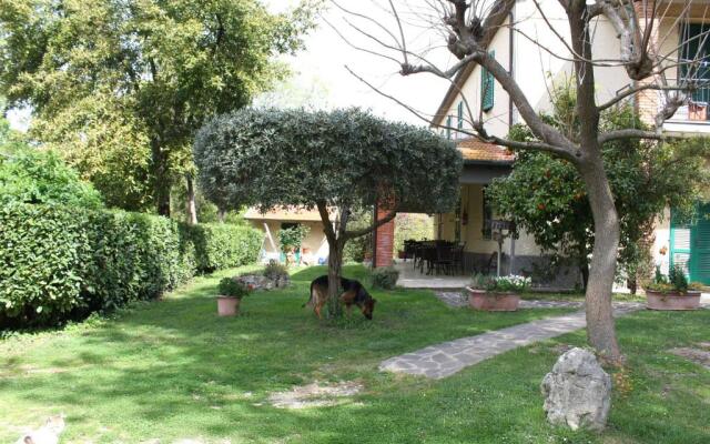 Agriturismo Il Capannone