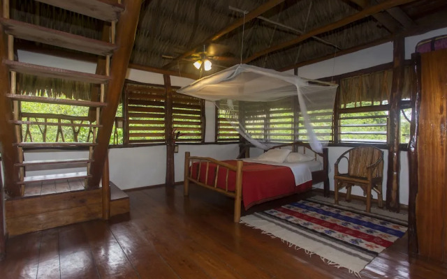 Cotton Tree Lodge