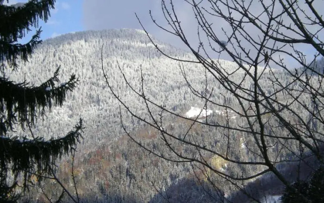 Le Chamois