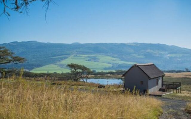 Ukuthula Lodge