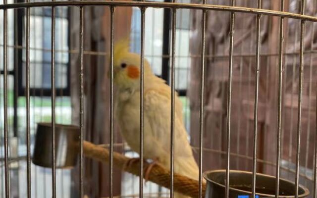 Liyang Shuixi Tianmuhu Hotel