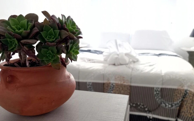Hotel Musto