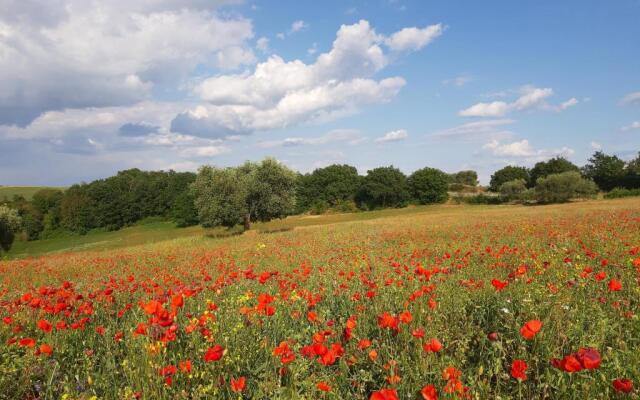 Cortona Shabby Chic House