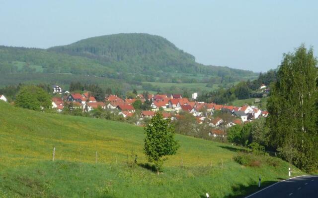 Waldblick - a10644