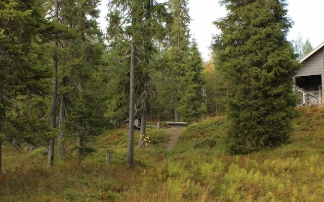 Rukako IHTINGINRINNE