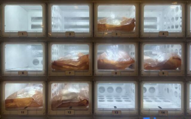 Waiting Hotel (Shanghai Hongqiao Tianshan Road)