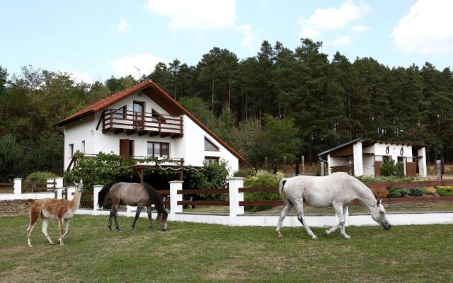 Na Samotě Ve Srubu