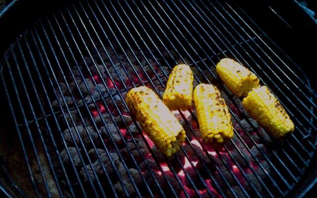 OYO Hotel Townsend GA