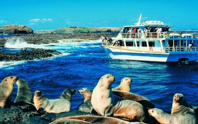 Phillip Island Cottages